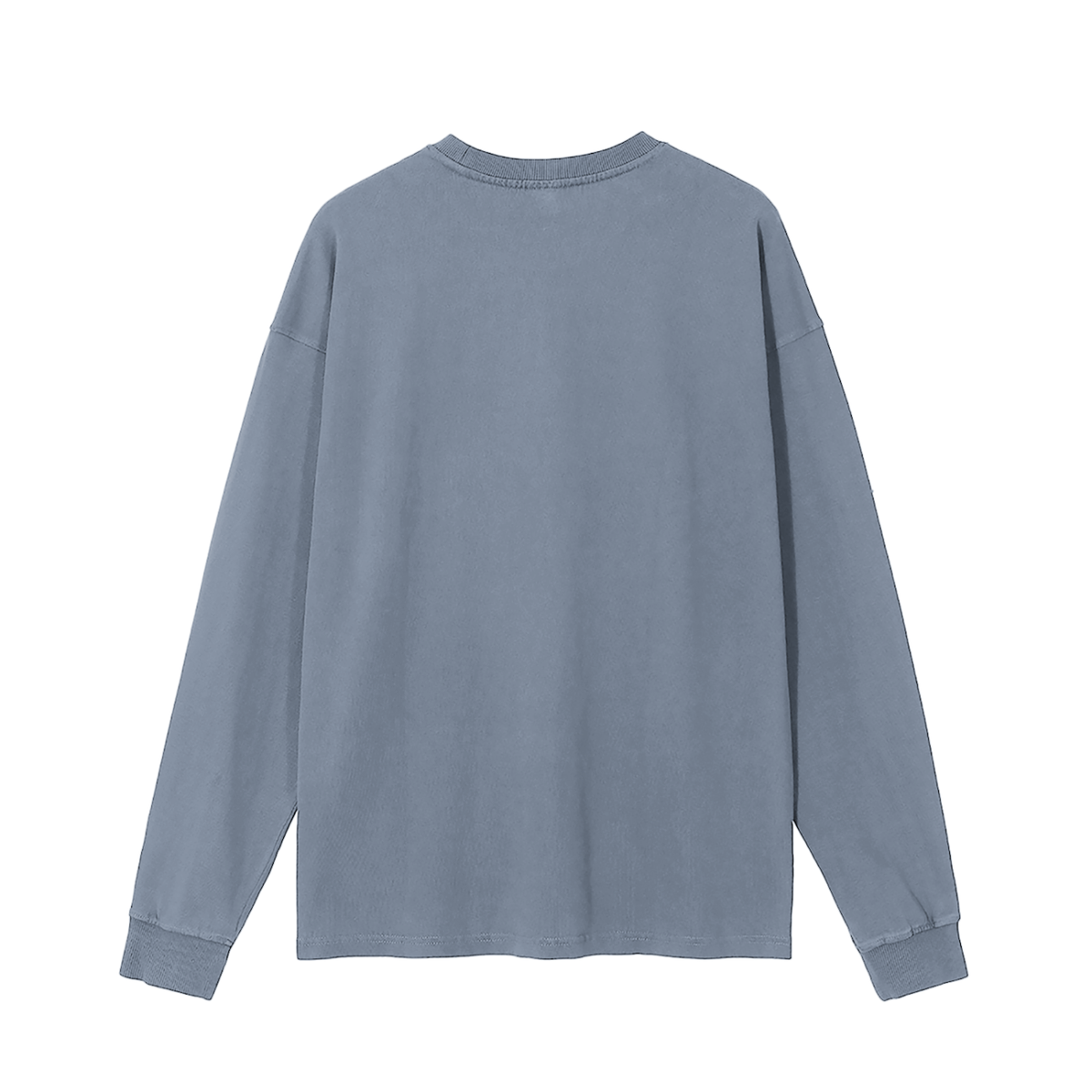 HUMAN BEINGS WERE ORIGINALLY CREATED IN THE IMAGE OF GOD Long Sleeve T-Shirt