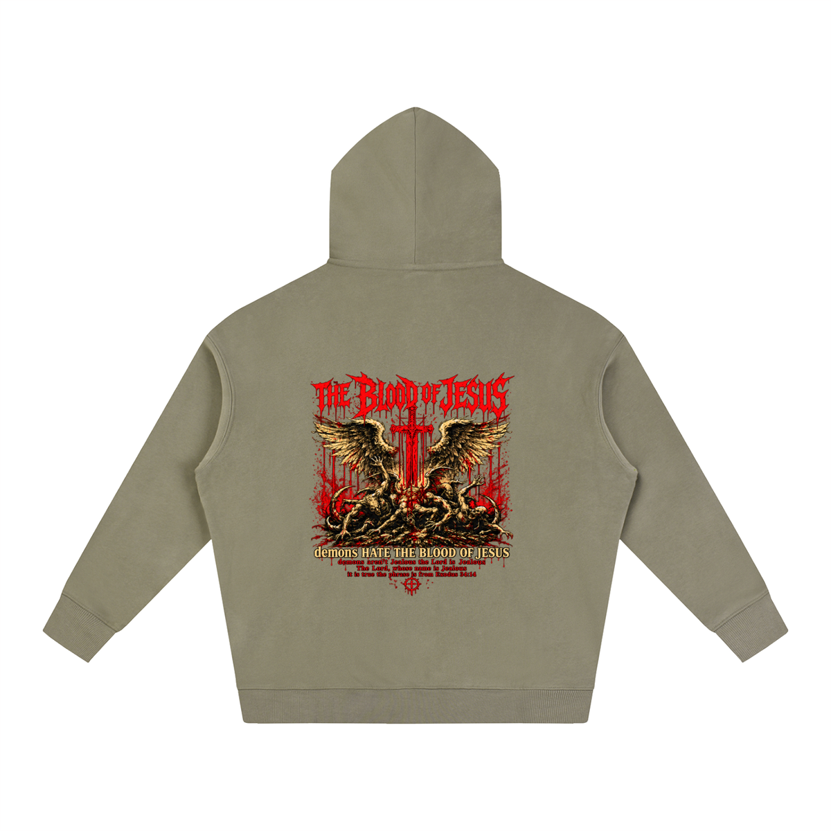THE LORD'S NAME IS Jealous The phrase is from Exodus 34:14 Hoodie