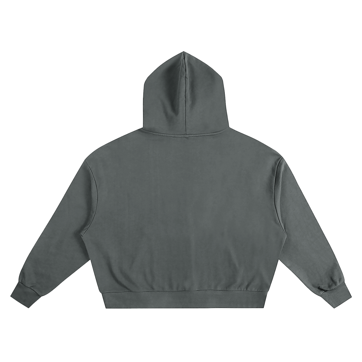 IDOL WORSHIPPERS DON'T GO TO THE NEW JERUSALEM ACCORDING TO Revelation 22:15 Hoodie