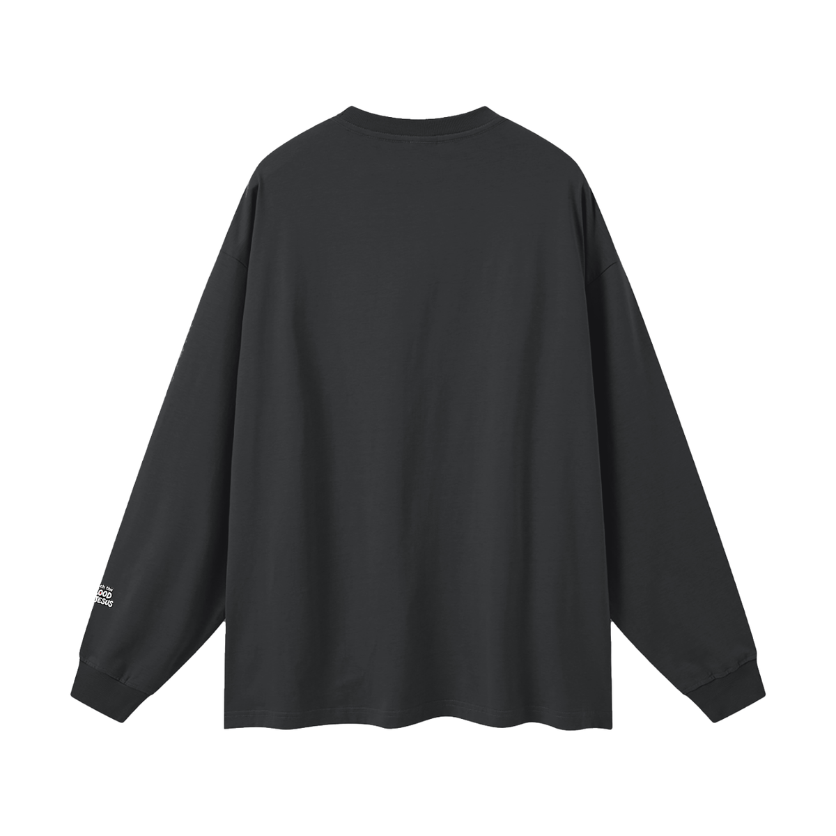 Follow the Light Follow Jesus Long Sleeve T-Shirt