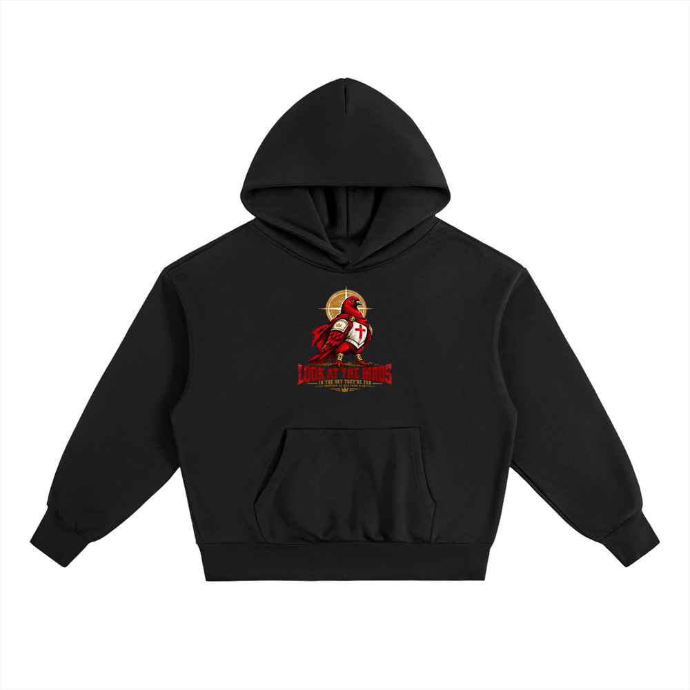 LOOK AT THE BIRDS IN THE SKY THEY'RE FED INSPIRED BY MATTHEW 6:26 Hoodie