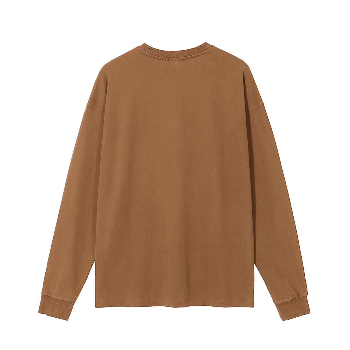 HUMAN BEINGS WERE ORIGINALLY CREATED IN THE IMAGE OF GOD Long Sleeve T-Shirt