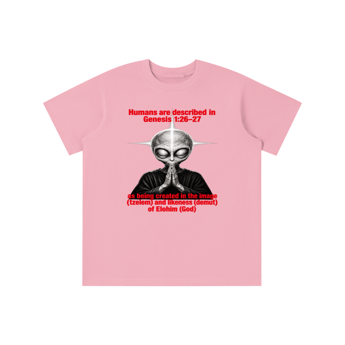 human are described in Genesis 1:26-27 as being created in the image (tzelem) and likeness (demut) of Elohim (God) youth T-shirt