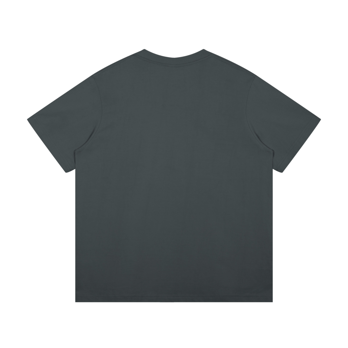 JESUS CHRIST IS ALIVE - PSALM 5:5-6 - T-Shirt