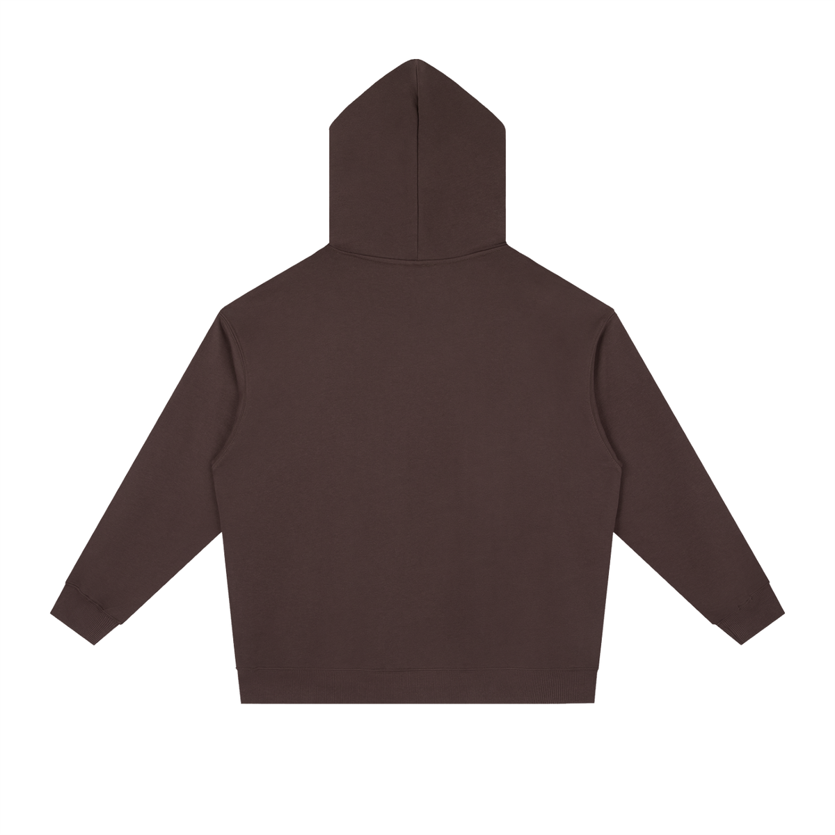 Jesus 1 Corinthians 15 :1-4 Hoodie