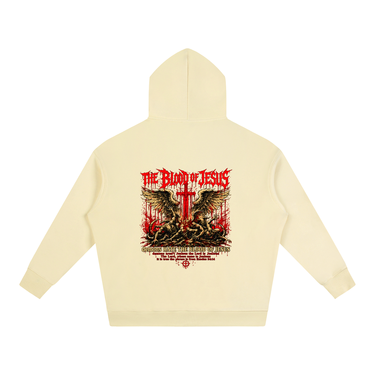 THE LORD'S NAME IS Jealous The phrase is from Exodus 34:14 Hoodie