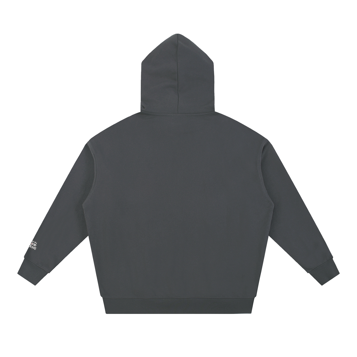 JESUS SAID Don't be afraid; just believe." IN THE NIV PREACH THE BLOOD OF JESUS Hoodie