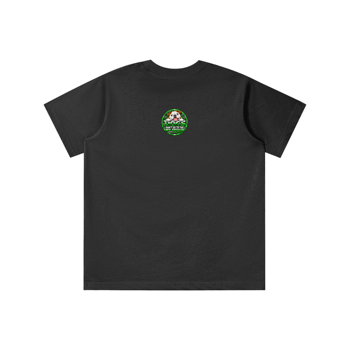 DOZENS OF TESTIMONIES ON THE INTERNET OF JESUS ENCOUNTERING PEOPLE. youth T-shirt