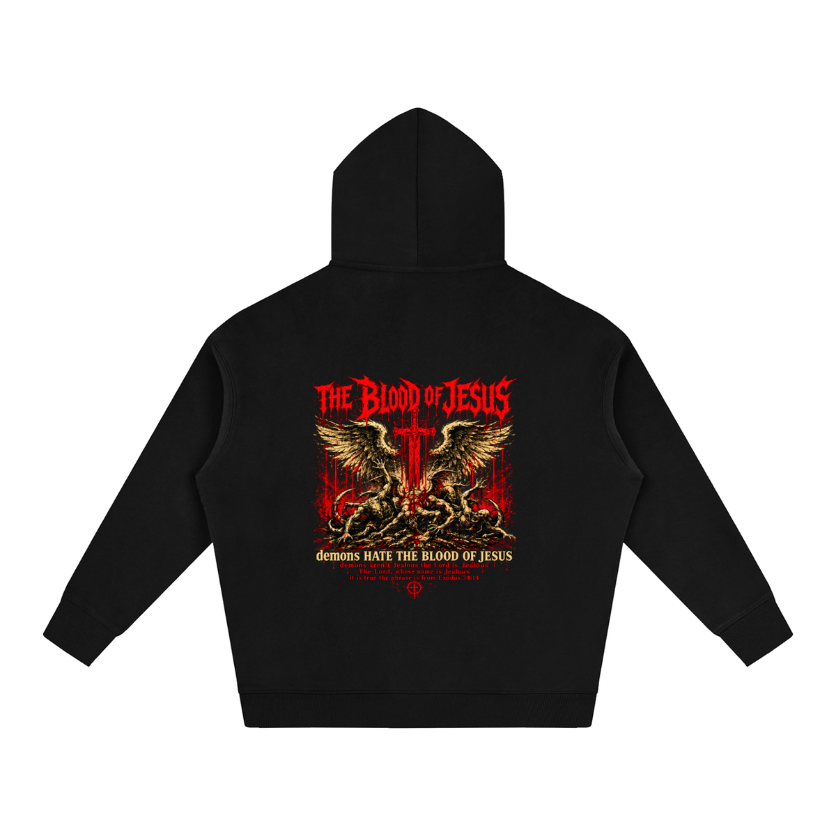 THE LORD'S NAME IS Jealous The phrase is from Exodus 34:14 Hoodie