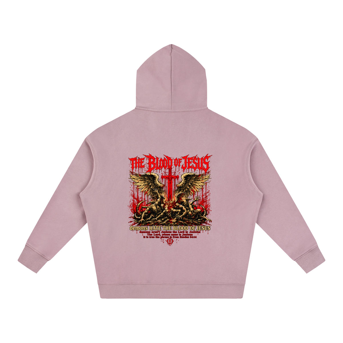 THE LORD'S NAME IS Jealous The phrase is from Exodus 34:14 Hoodie