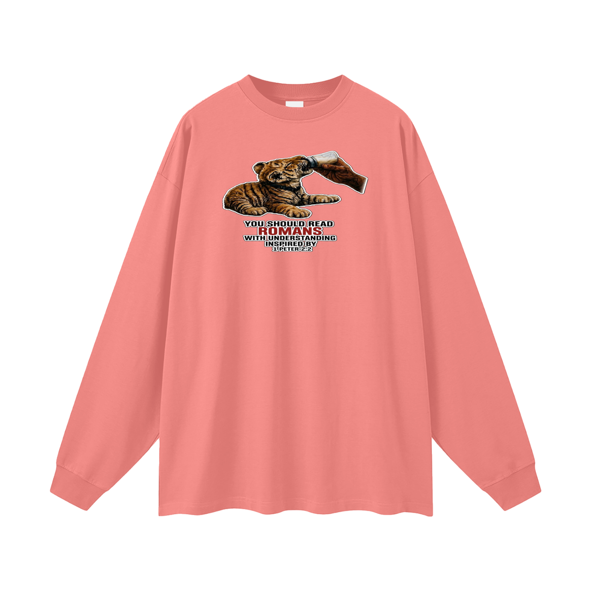 YOU SHOULD READ ROMANS WITH UNDERSTANDING INSPIRED BY 1 PETER 2:2 Long Sleeve T-Shirt