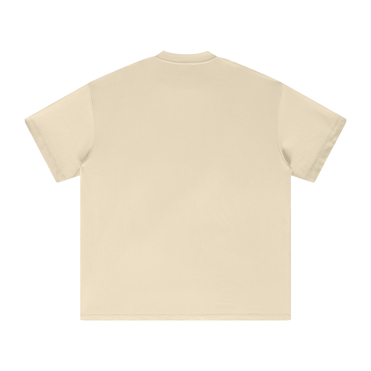 YOU SHOULD READ ROMANS WITH UNDERSTANDING T-Shirt