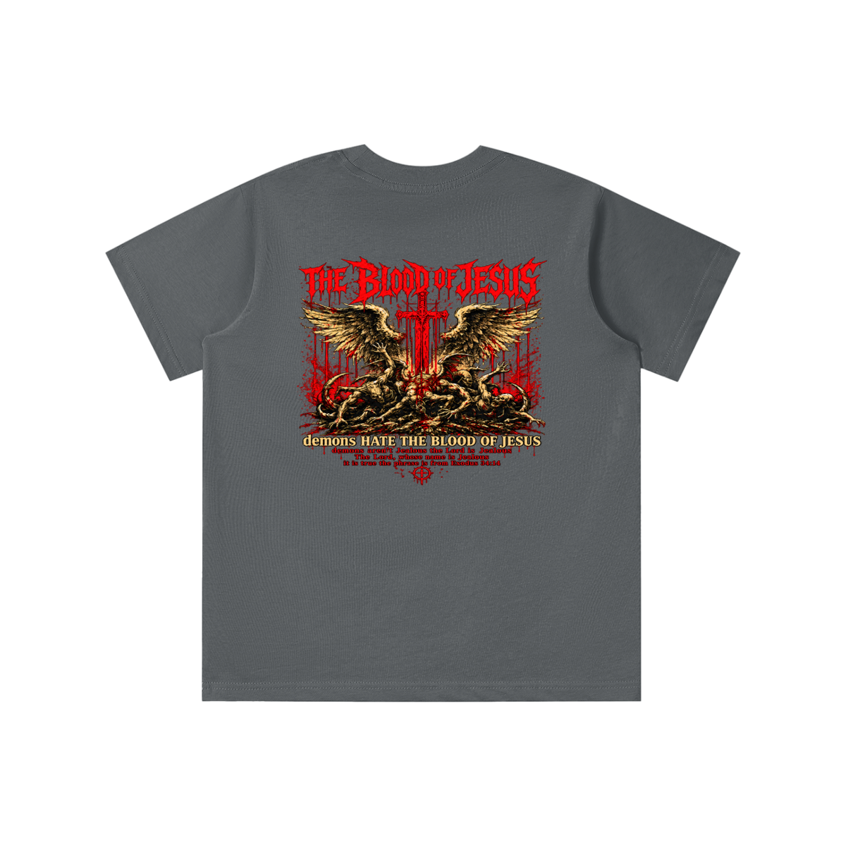 THE LORD'S NAME IS Jealous The phrase is from Exodus 34:14 youth T-shirt