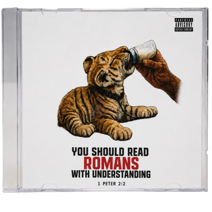 YOU SHOULD READ ROMANS WITH UNDERSTANDING Jacket