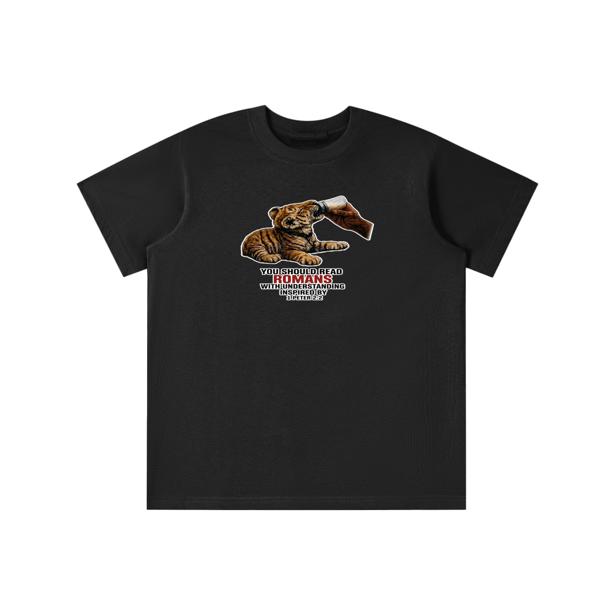 YOU SHOULD READ ROMANS WITH UNDERSTANDING INSPIRED BY 1 PETER 2:2 youth T-shirt