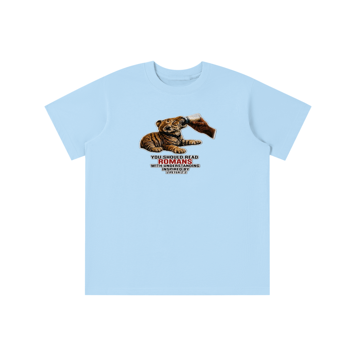 YOU SHOULD READ ROMANS WITH UNDERSTANDING INSPIRED BY 1 PETER 2:2 youth T-shirt