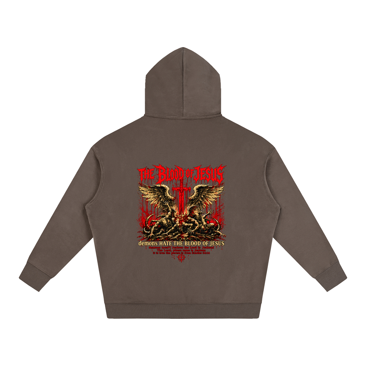 THE LORD'S NAME IS Jealous The phrase is from Exodus 34:14 Hoodie