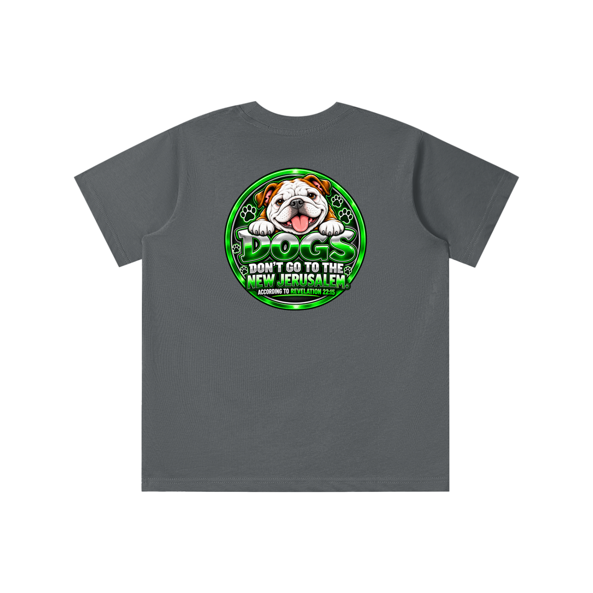 DOZENS OF TESTIMONIES ON YOUTUBE OF JESUS ENCOUNTERING PEOPLE. DOGS DON'T GO TO THE NEW JERUSALEM. ACCORDING TO REVELATION 22:15 youth T-shirt