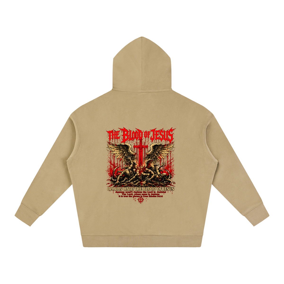 THE LORD'S NAME IS Jealous The phrase is from Exodus 34:14 Hoodie