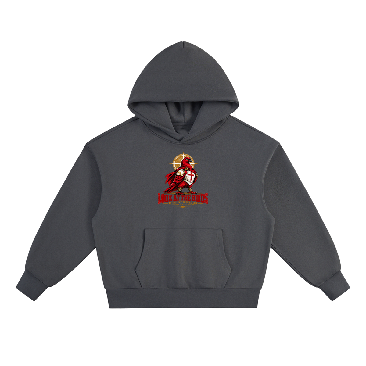 LOOK AT THE BIRDS IN THE SKY THEY'RE FED INSPIRED BY MATTHEW 6:26 Hoodie