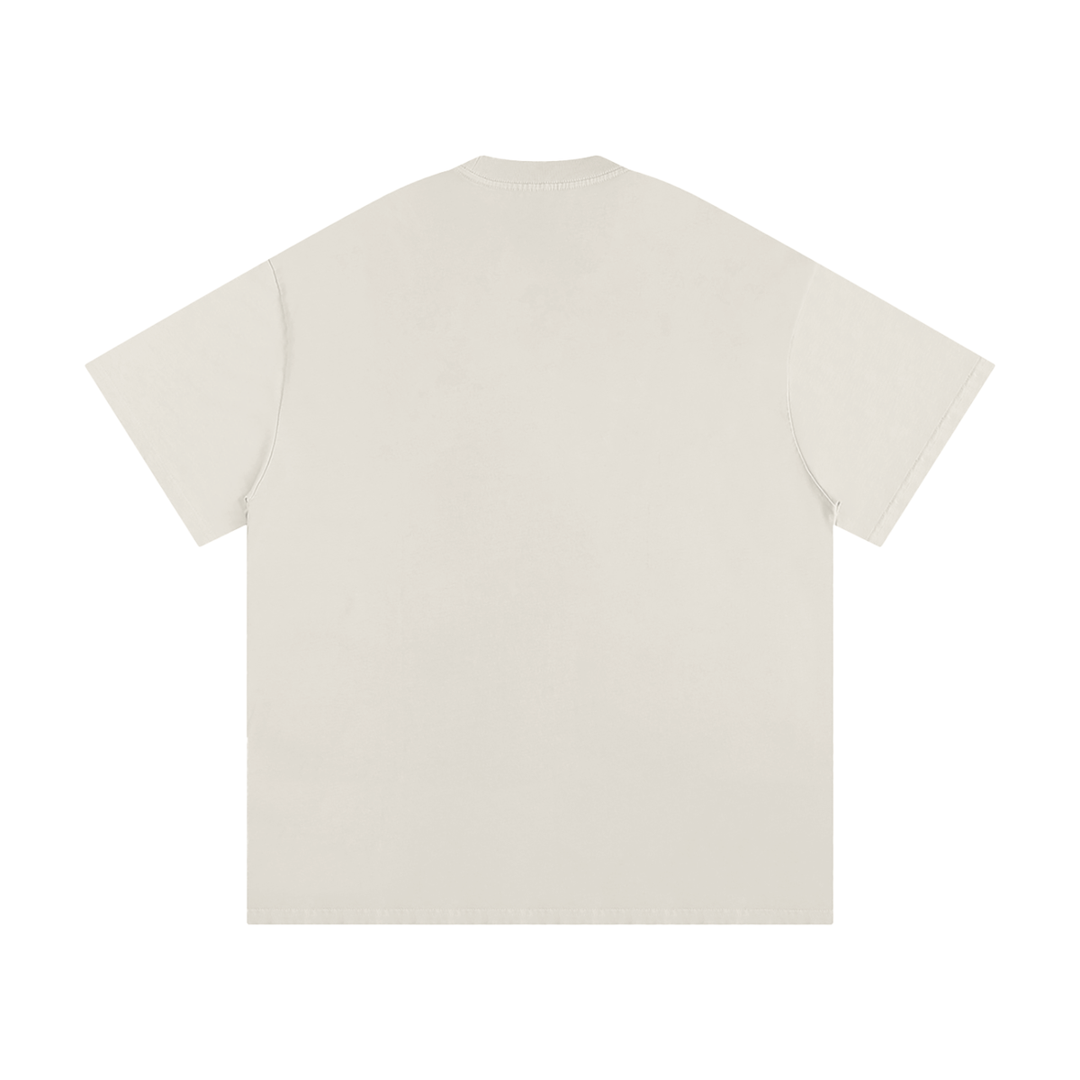 UNASHAMED OF THE GOPEL OF JESUS CHIRST ANCHORED IN 2 TIMOTHY 1:8 T-Shirt