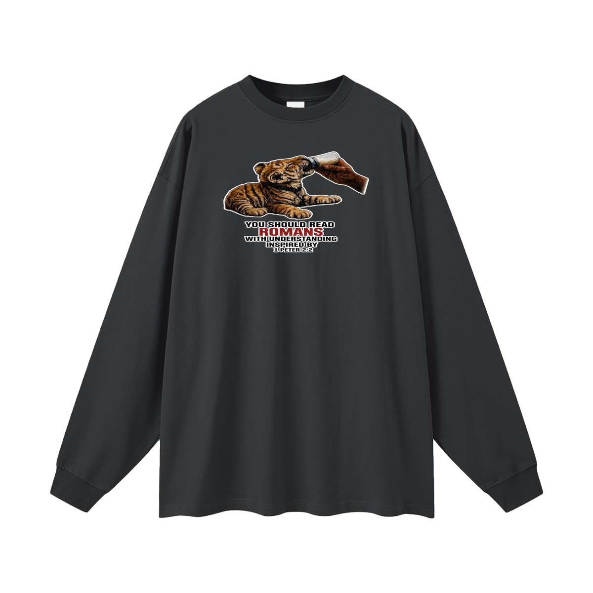 YOU SHOULD READ ROMANS WITH UNDERSTANDING INSPIRED BY 1 PETER 2:2 Long Sleeve T-Shirt