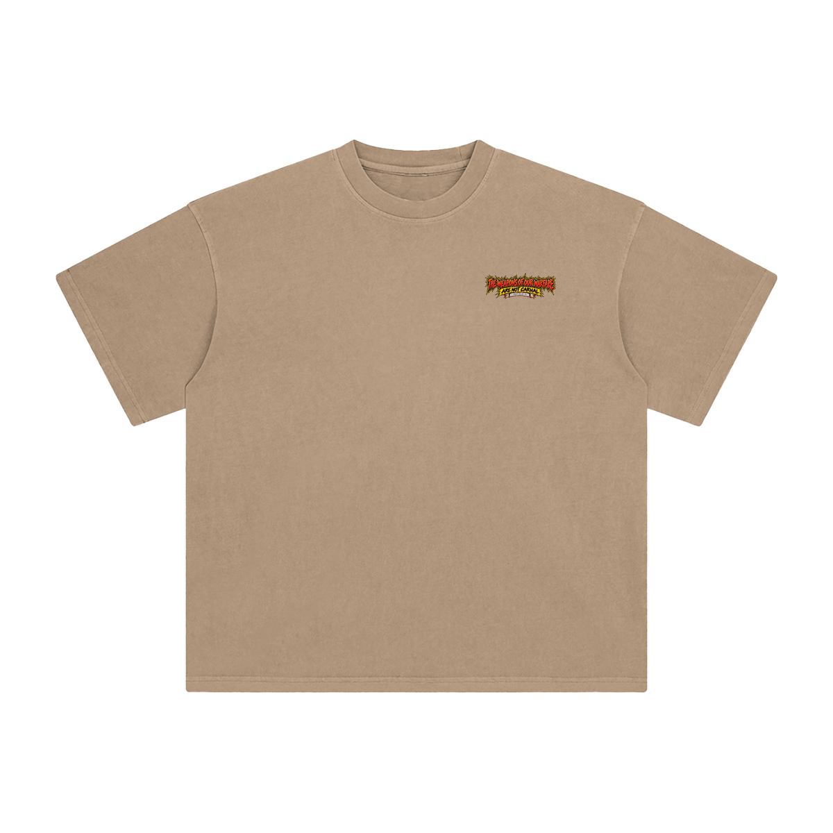 THE WEAPONS OF OUR WAREFARE ARE NOT CARNAL (2 CORINTHIANS 10:4) T-Shirt