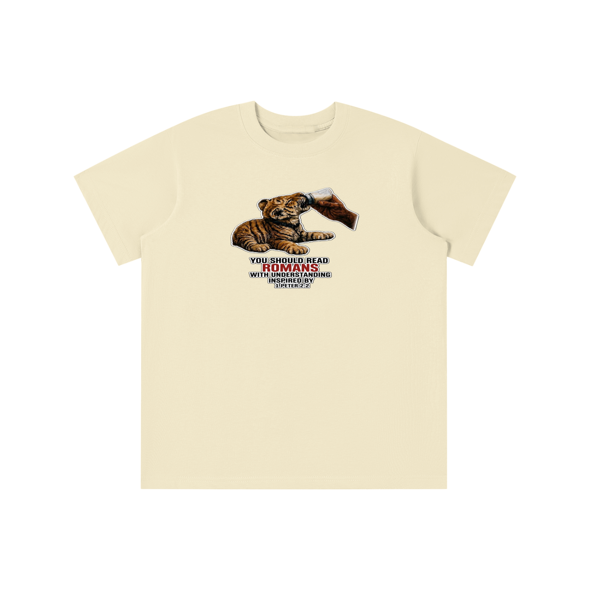 YOU SHOULD READ ROMANS WITH UNDERSTANDING INSPIRED BY 1 PETER 2:2 youth T-shirt