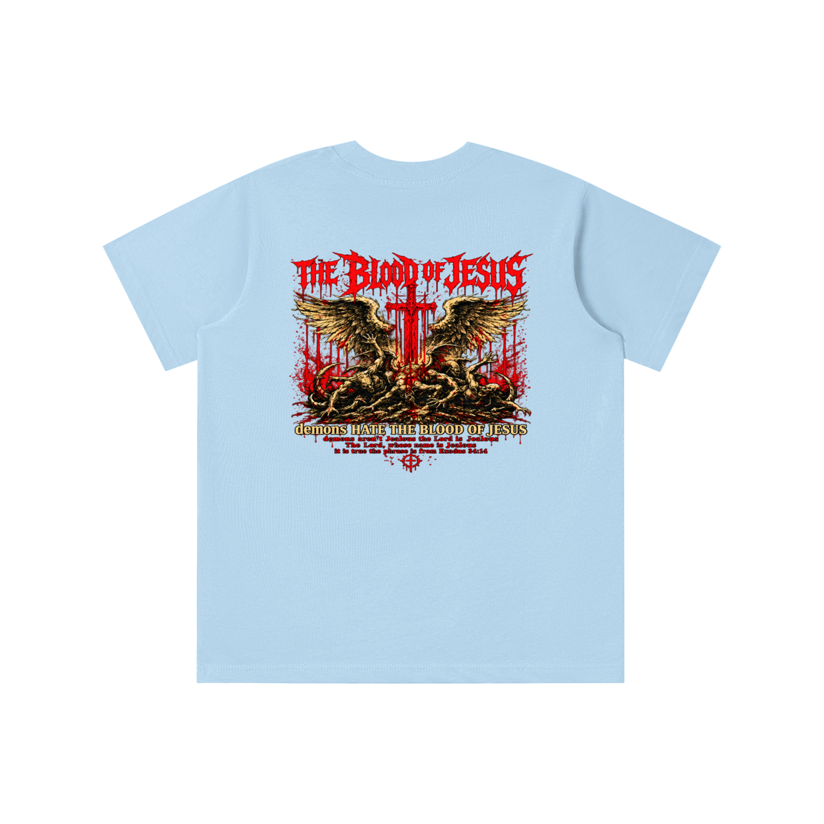 THE LORD'S NAME IS Jealous The phrase is from Exodus 34:14 youth T-shirt