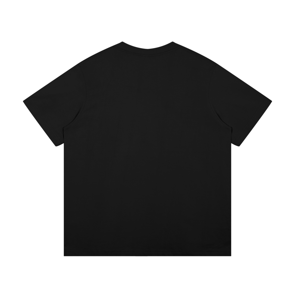 God gave the law to Moses and Jesus was the sacrifice T-Shirt