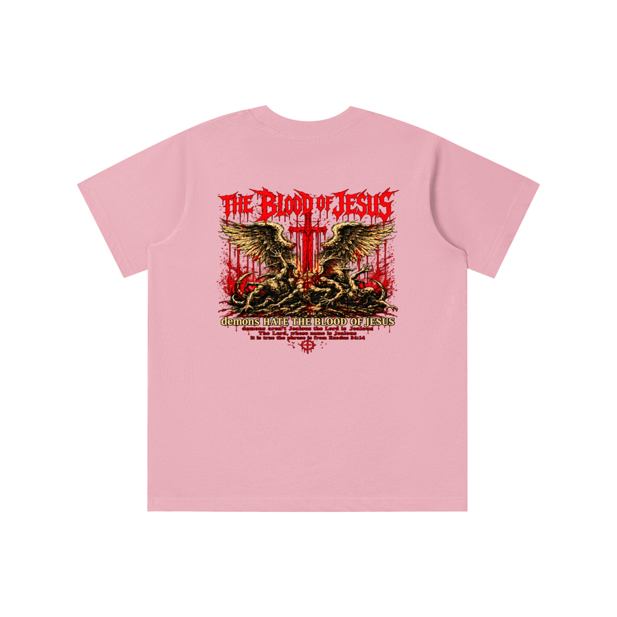 THE LORD'S NAME IS Jealous The phrase is from Exodus 34:14 youth T-shirt
