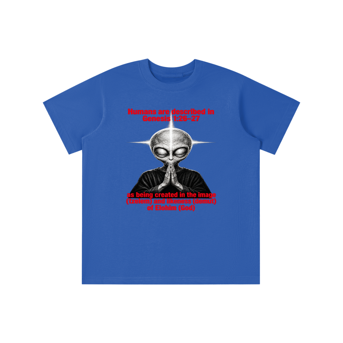 human are described in Genesis 1:26-27 as being created in the image (tzelem) and likeness (demut) of Elohim (God) youth T-shirt
