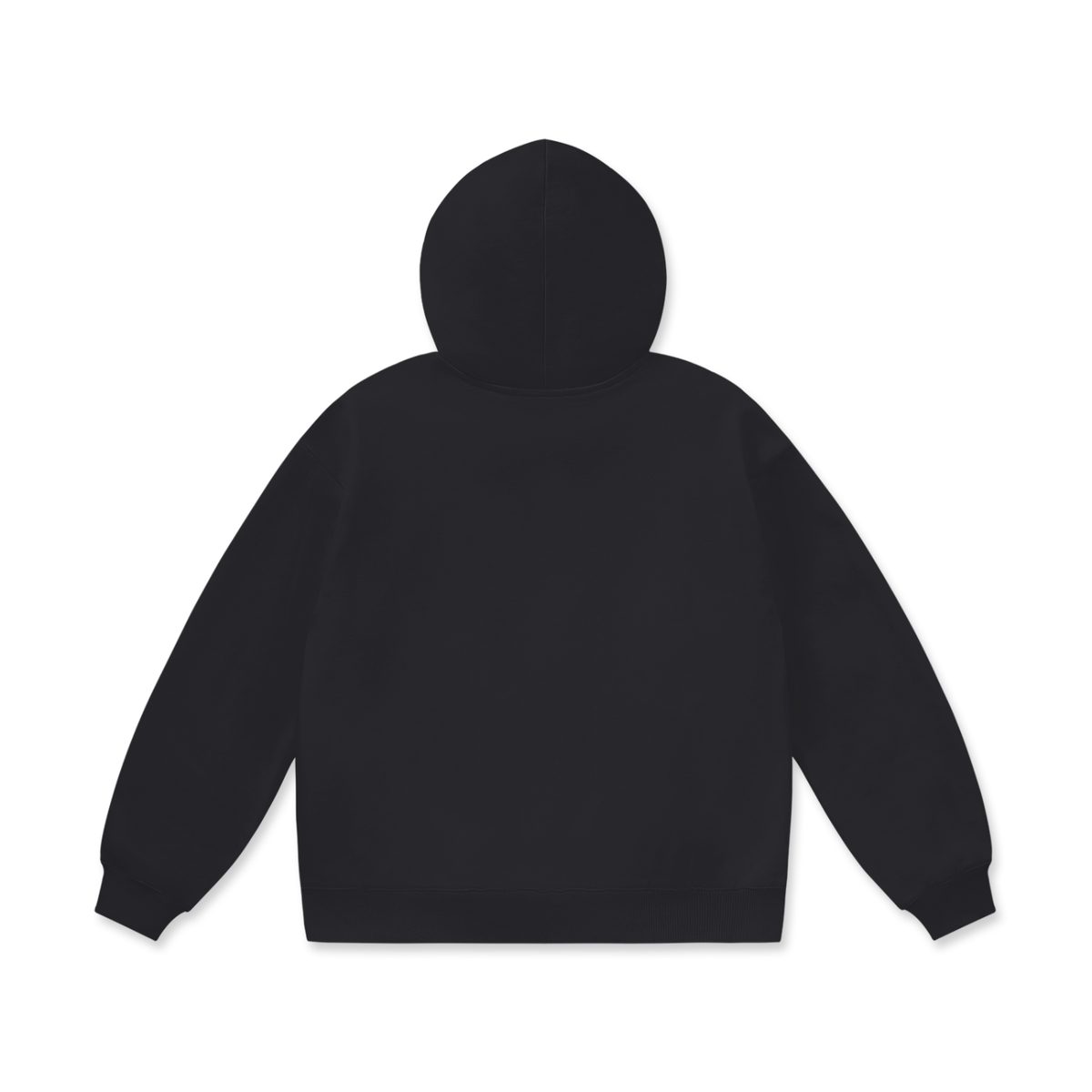 DON'T BE A DOG according to Revelation 22:15 Hoodie