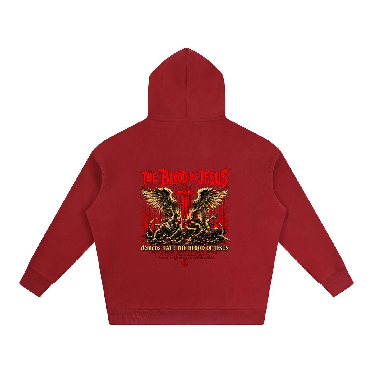 THE LORD'S NAME IS Jealous The phrase is from Exodus 34:14 Hoodie