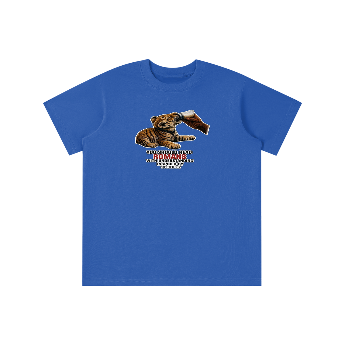YOU SHOULD READ ROMANS WITH UNDERSTANDING INSPIRED BY 1 PETER 2:2 youth T-shirt