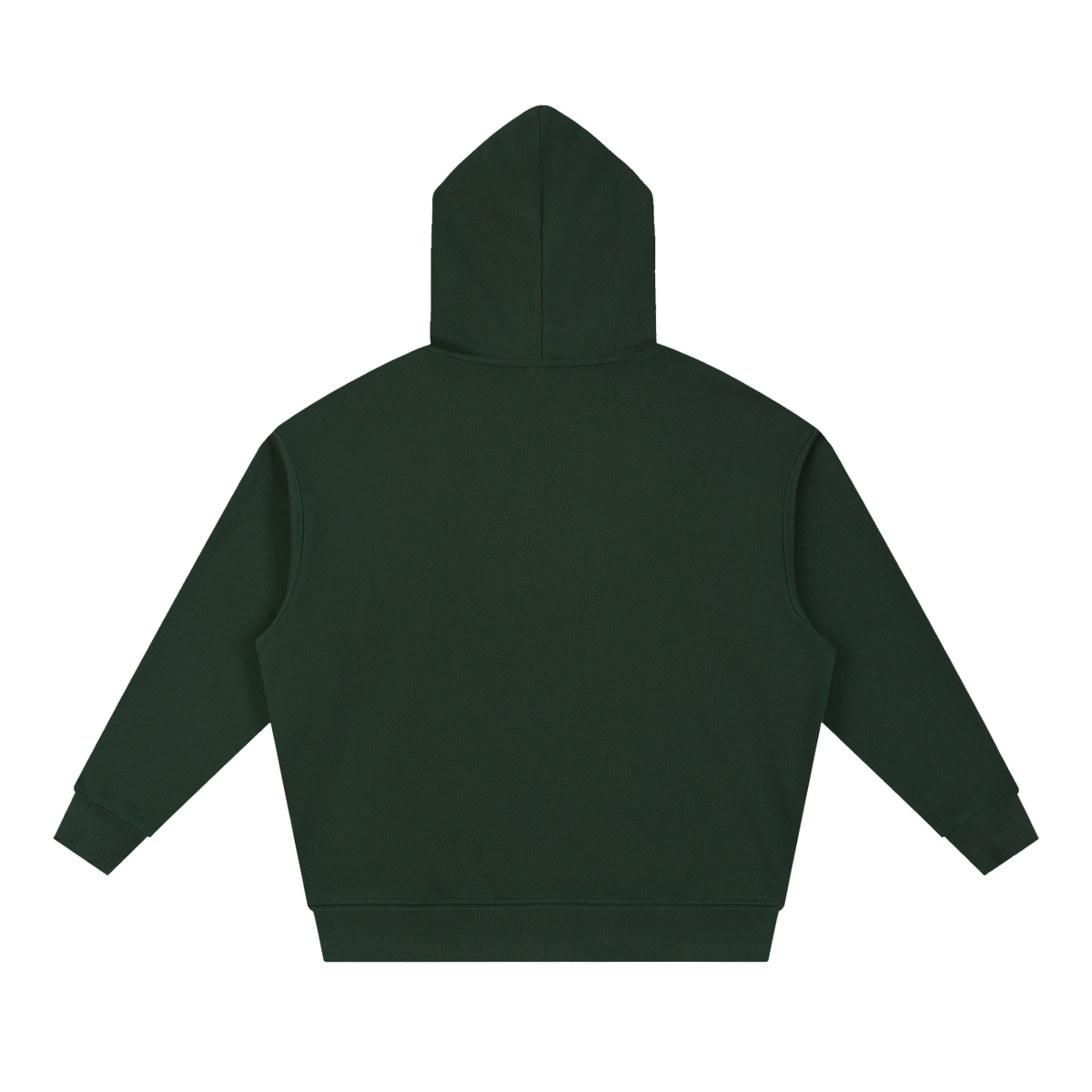 JESUS SAVES 1 Corinthians 15:1-4 Hoodie