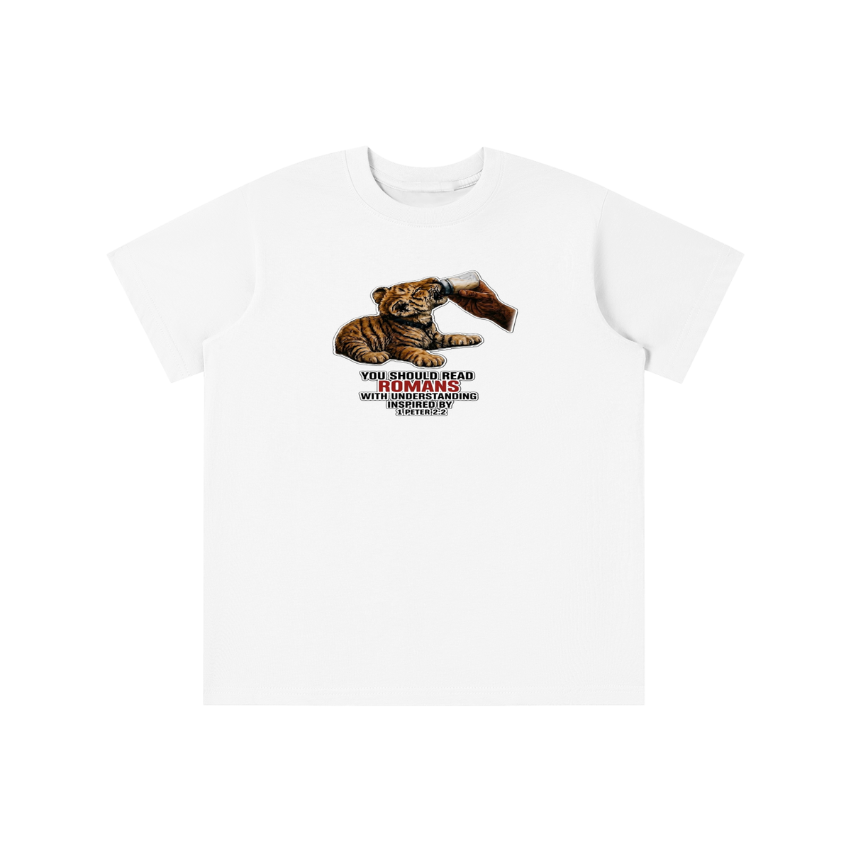 YOU SHOULD READ ROMANS WITH UNDERSTANDING INSPIRED BY 1 PETER 2:2 youth T-shirt