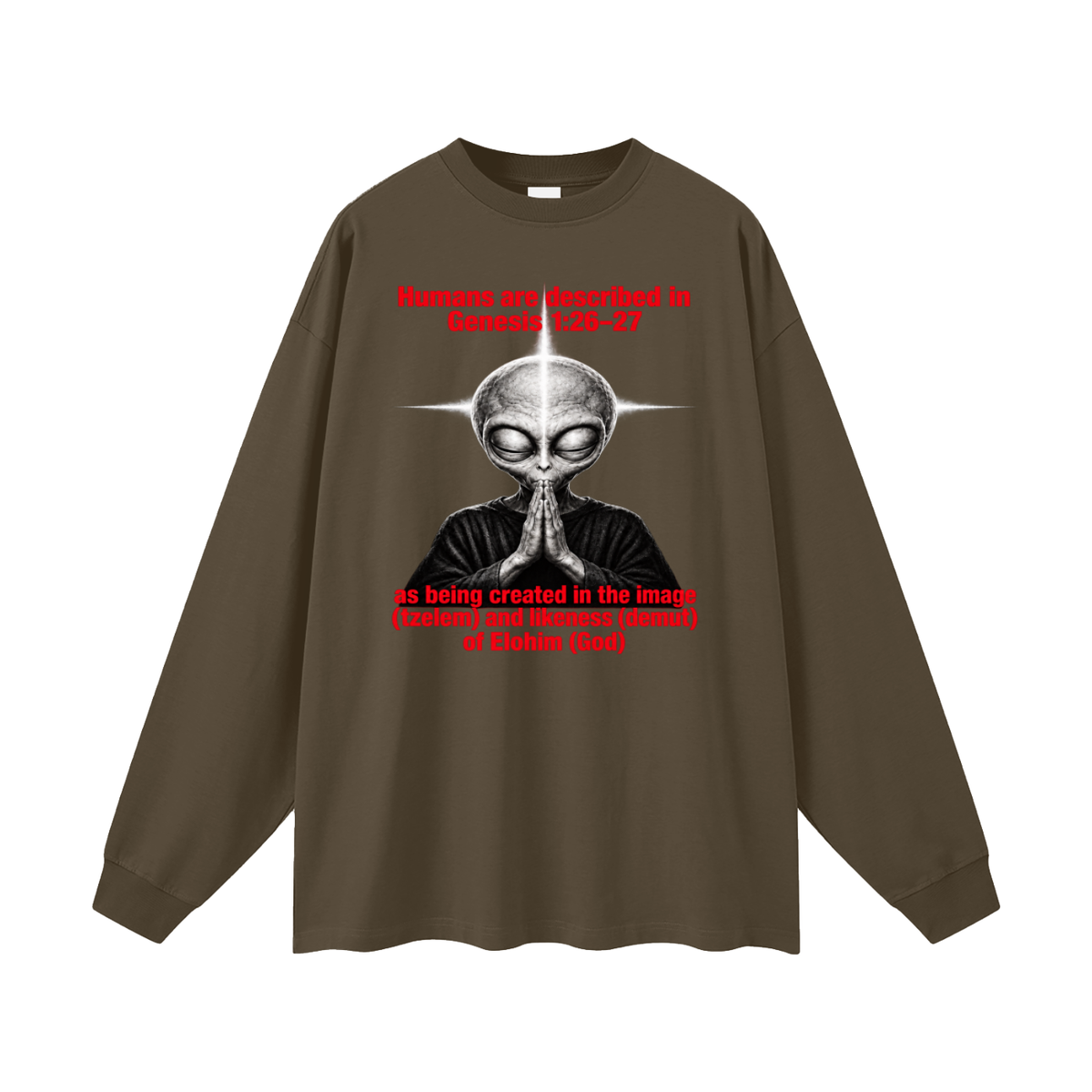 human are described in Genesis 1:26-27 as being created in the image (tzelem) and likeness (demut) of Elohim (God) Long Sleeve T-Shirt