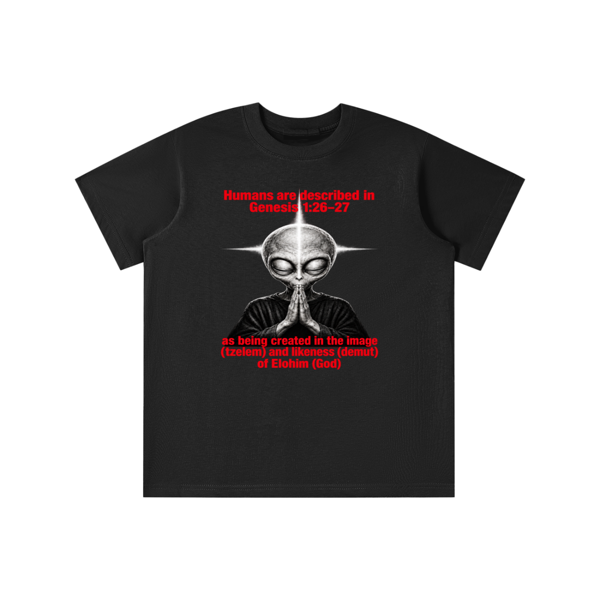human are described in Genesis 1:26-27 as being created in the image (tzelem) and likeness (demut) of Elohim (God) youth T-shirt