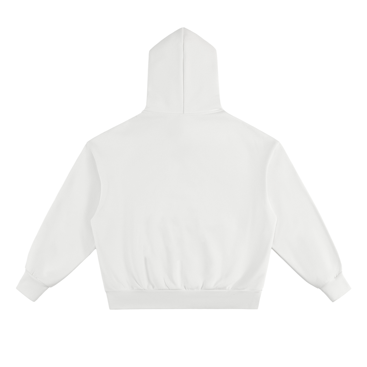 LOOK AT THE BIRDS IN THE SKY THEY'RE FED INSPIRED BY MATTHEW 6:26 Hoodie