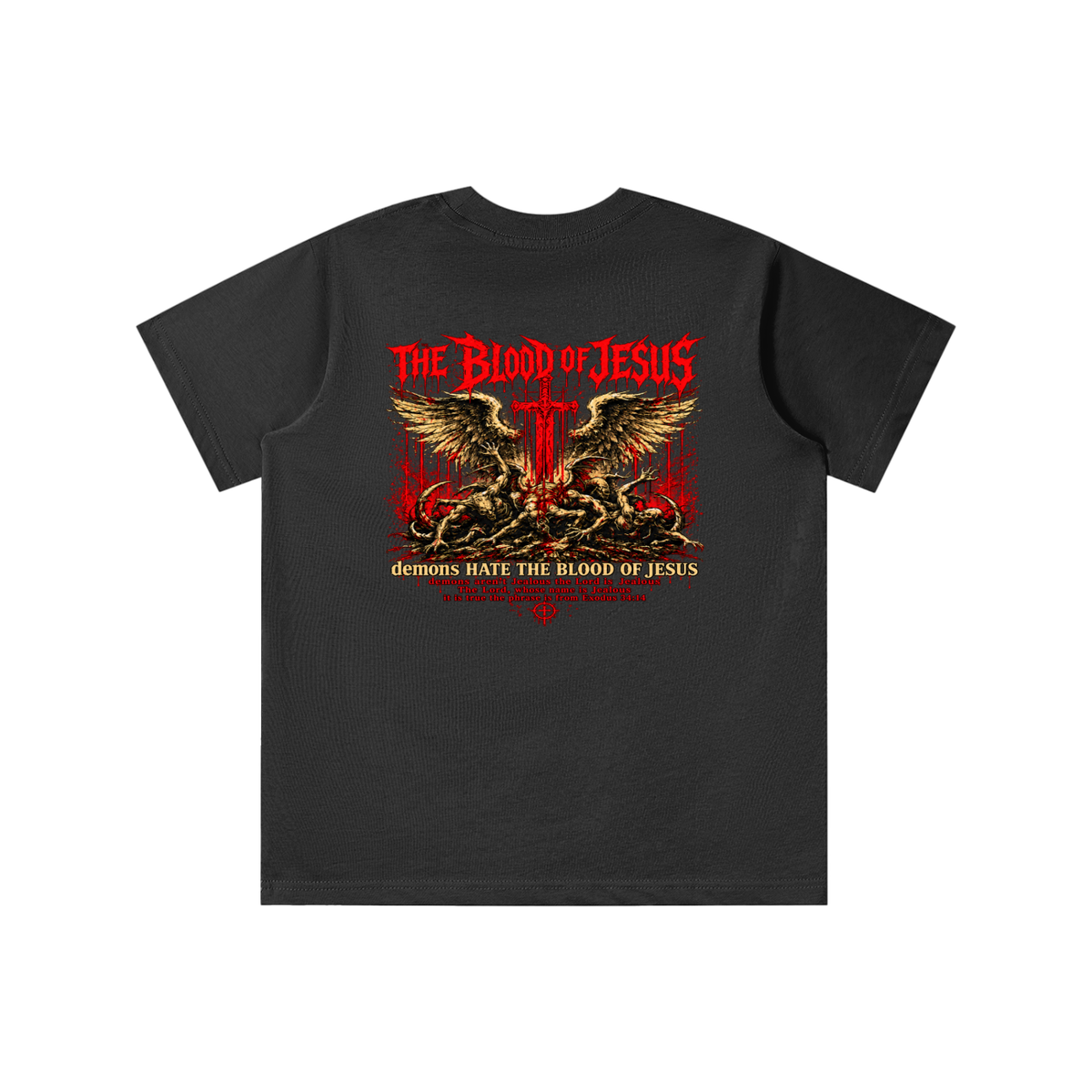 THE LORD'S NAME IS Jealous The phrase is from Exodus 34:14 youth T-shirt