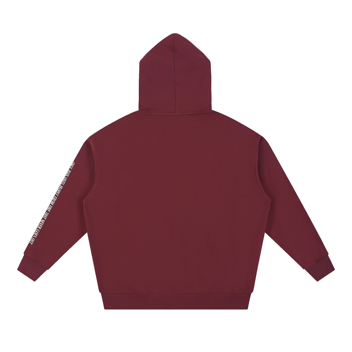 Jesus Won Death Lost Hoodie