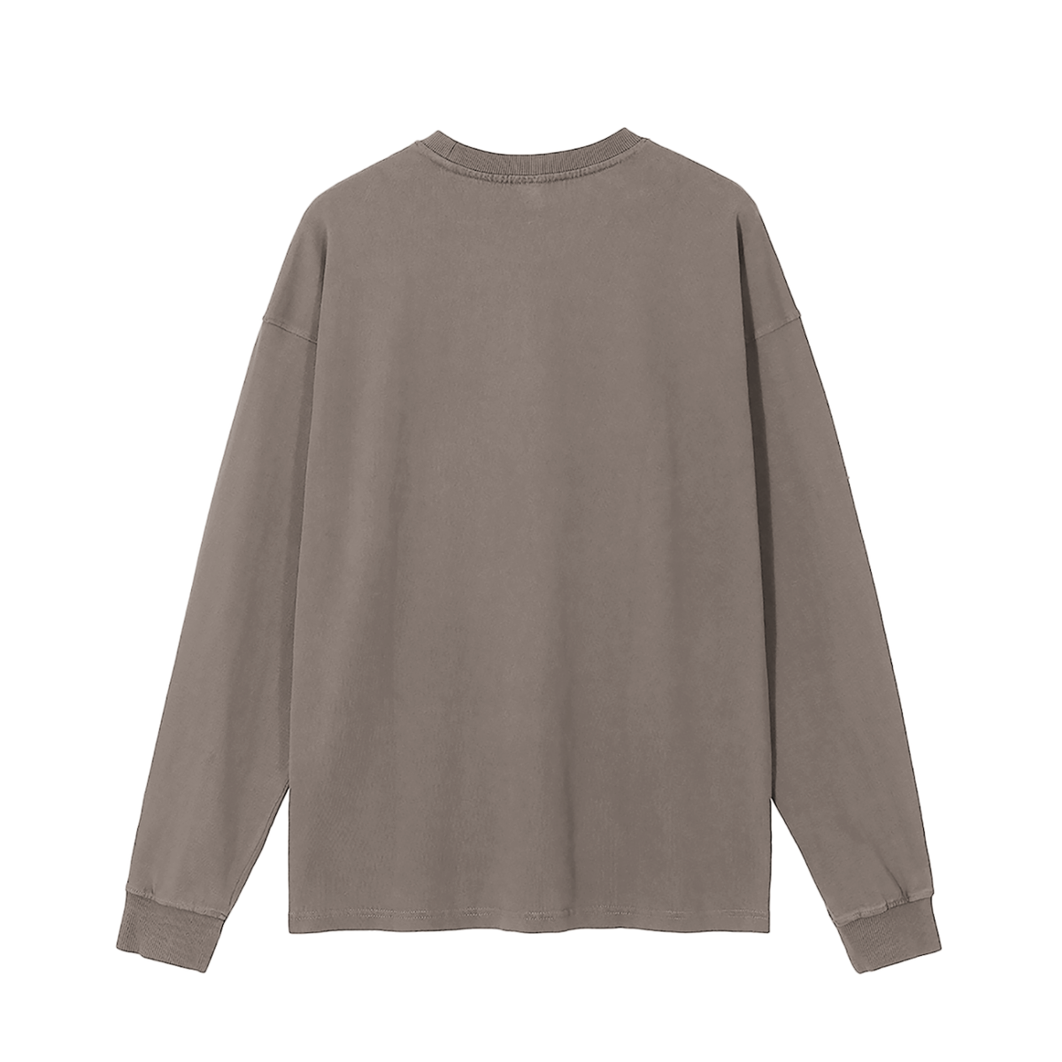 HUMAN BEINGS WERE ORIGINALLY CREATED IN THE IMAGE OF GOD Long Sleeve T-Shirt