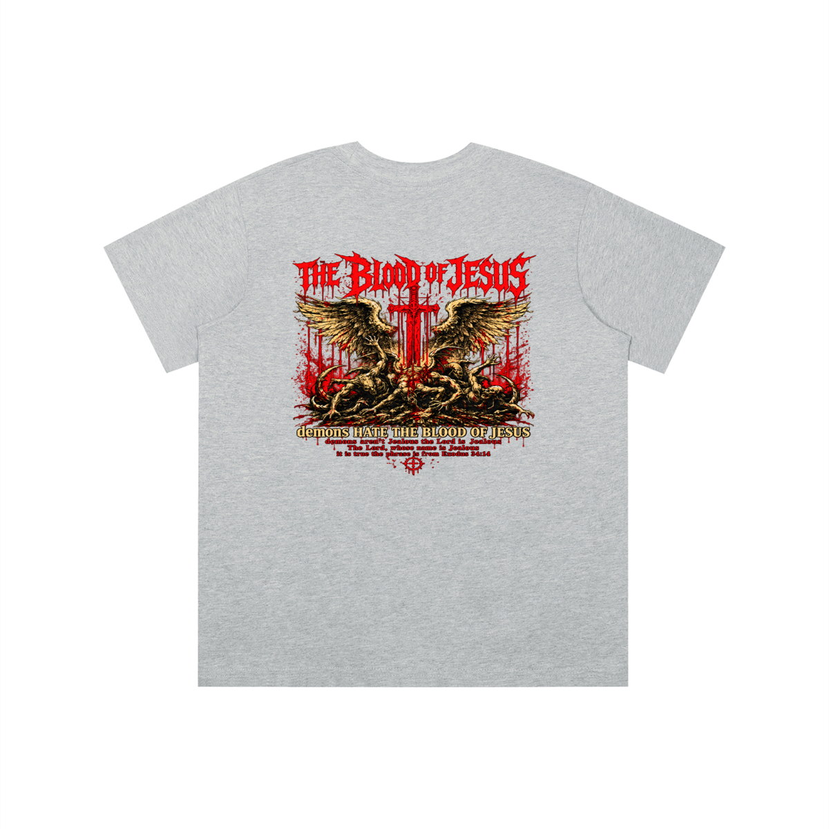 THE LORD'S NAME IS Jealous The phrase is from Exodus 34:14 youth T-shirt