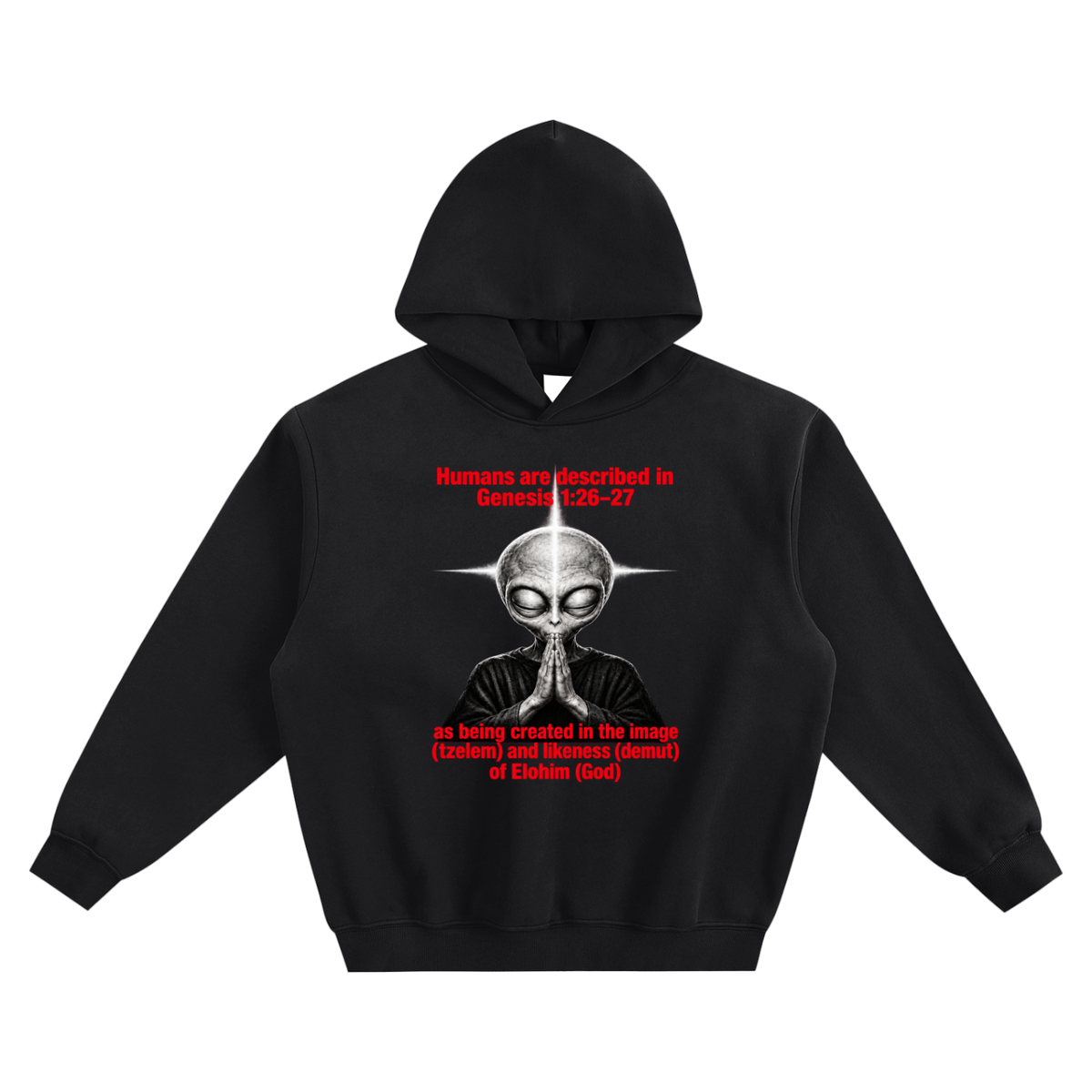 human are described in Genesis 1:26-27 as being created in the image (tzelem) and likeness (demut) of Elohim (God) no pocket Hoodie