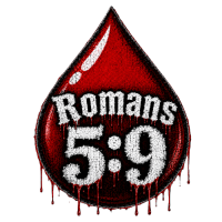Romans 5:9 blood emoji Kids' Shorts
