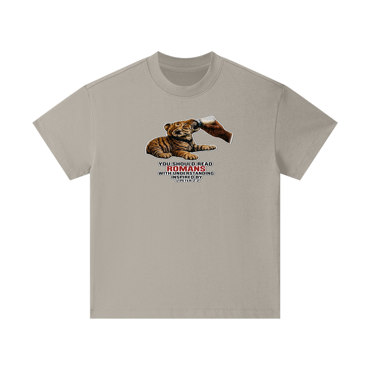 YOU SHOULD READ ROMANS WITH UNDERSTANDING INSPIRED BY 1 PETER 2:2 Kids T-Shirt
