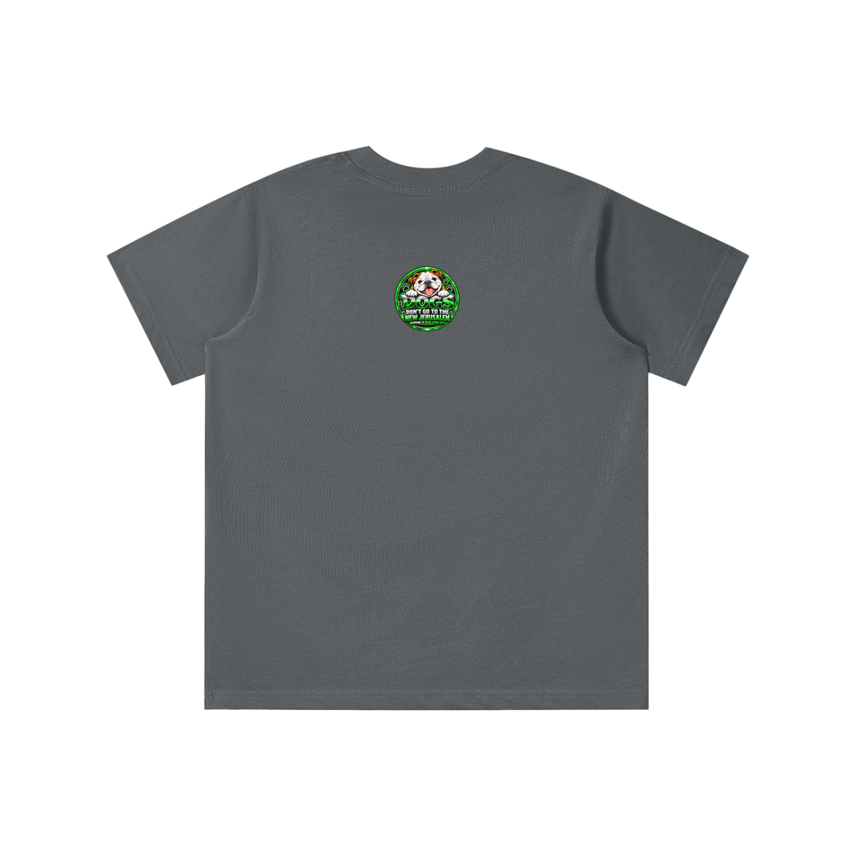 DOZENS OF TESTIMONIES ON THE INTERNET OF JESUS ENCOUNTERING PEOPLE. youth T-shirt