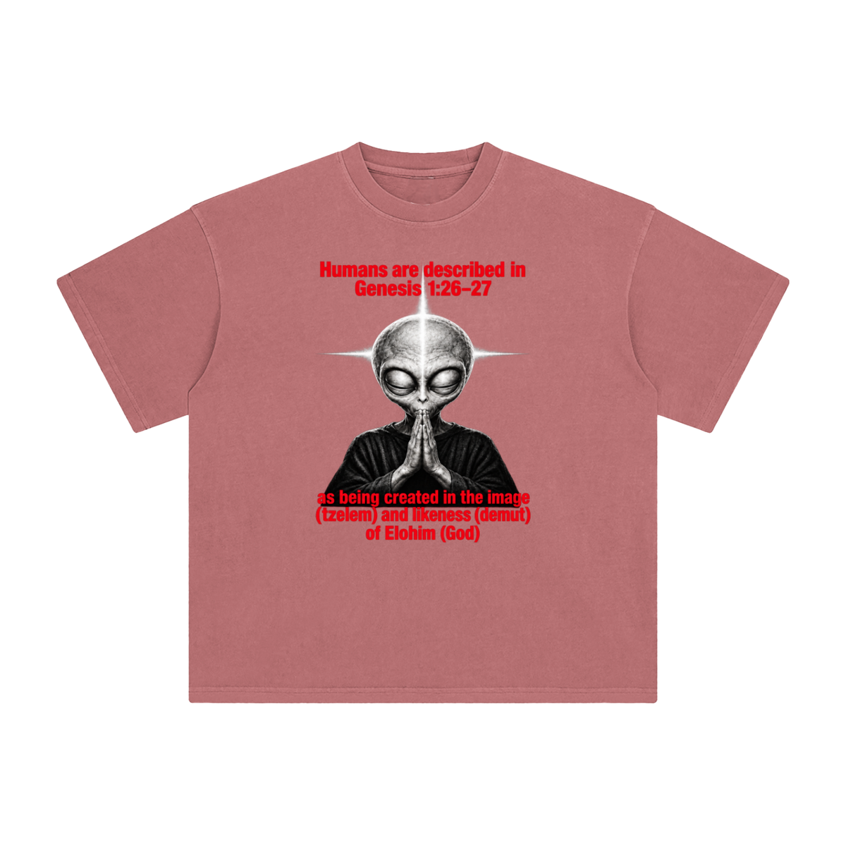 human are described in Genesis 1:26-27 as being created in the image (tzelem) and likeness (demut) of Elohim (God) T-Shirt