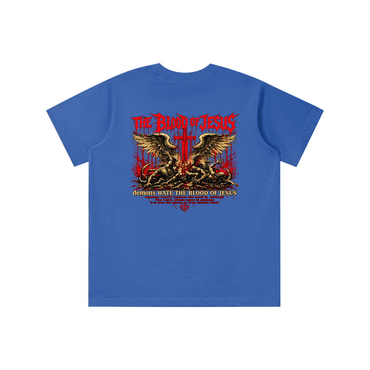 THE LORD'S NAME IS Jealous The phrase is from Exodus 34:14 youth T-shirt